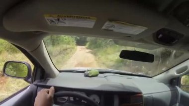 Rancho Santa Elena, Meksika, 15 Kasım 2019 Dodge Durango 'da bir kır yolunda Pov