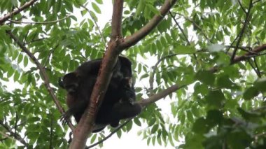 Meksika mantolu uluyan anne bebeğine sarılıyor.