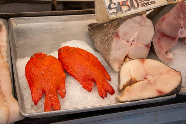 Pescado Puesto Venta Mercado Ensenada —  Fotos de Stock