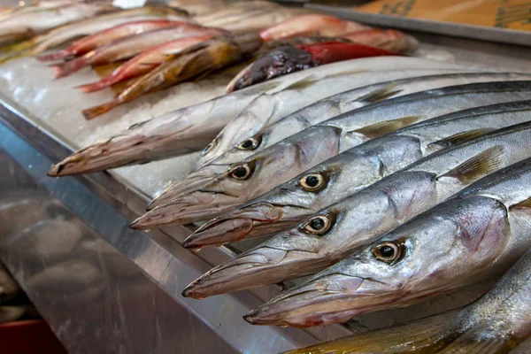 Pescado Puesto Venta Mercado Ensenada —  Fotos de Stock