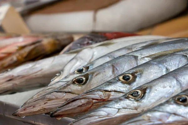 Pescado Puesto Venta Mercado Ensenada —  Fotos de Stock