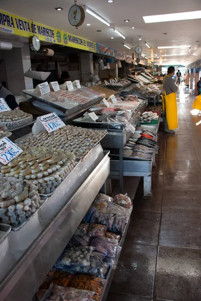Ensenada市場での販売のための屋台で魚 — ストック写真