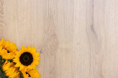 Üst görünüm ahşap arkaplanda ayçiçeğiyle maket yapar.