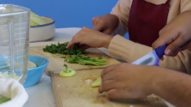 Workshop Der Mexikanischen Küche Zur Zubereitung Der Grünen Salsa — Stockvideo