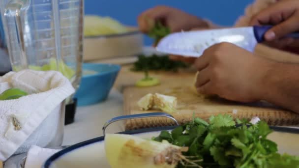 Mãos Ocupadas Preparando Deliciosa Salsa Verde — Vídeo de Stock