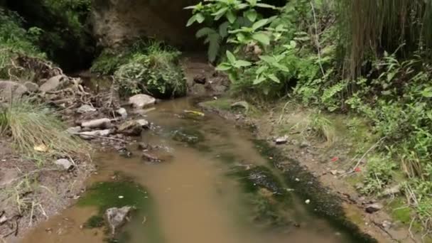 Habitat Naturel Mexique Eau Féroce Grande — Video