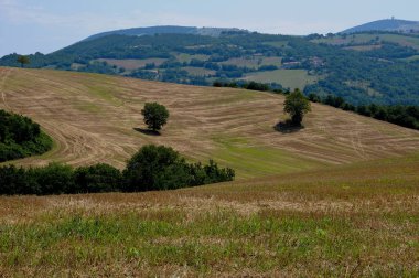 güzel Marche kırsal matelica, İtalya yakınındaki tepelerde