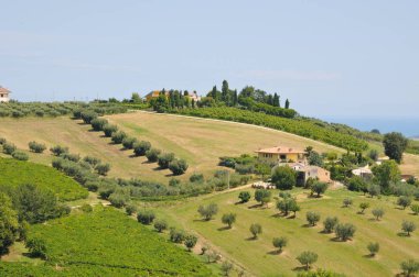 Montepulciano D'Abruzzo üreten teramo çevresindeki güzel tepeler