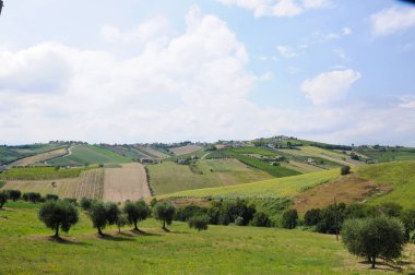 Montepulciano D'Abruzzo üreten teramo çevresindeki güzel tepeler