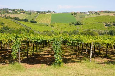 Montepulciano D'Abruzzo üreten teramo çevresindeki güzel tepeler