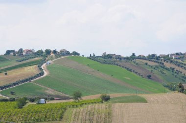 Montepulciano D'Abruzzo üreten teramo çevresindeki güzel tepeler