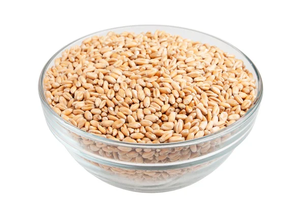 Семена пшеницы в миске на белом — стоковое фото