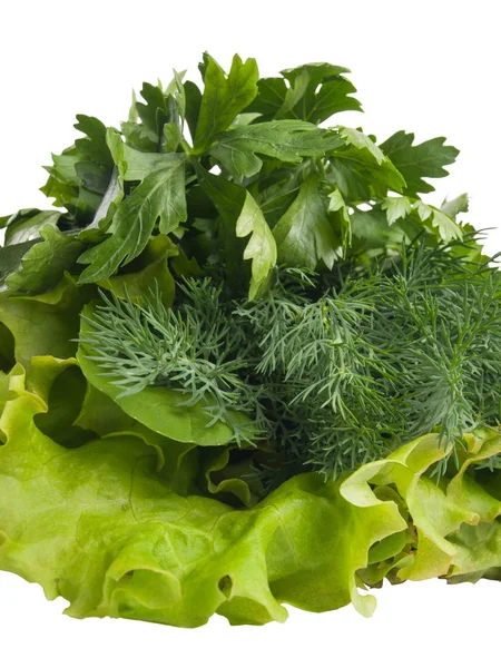 Groene verse sla salade bladeren, dille en peterselie op wit — Stockfoto