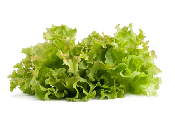 Green lettuce salad leaves isolated on white background — Stock Photo, Image