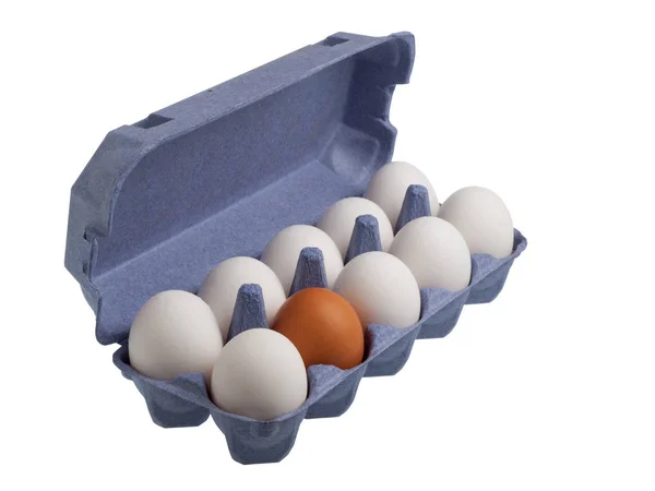 Одно коричневое яйцо среди белых яиц — стоковое фото