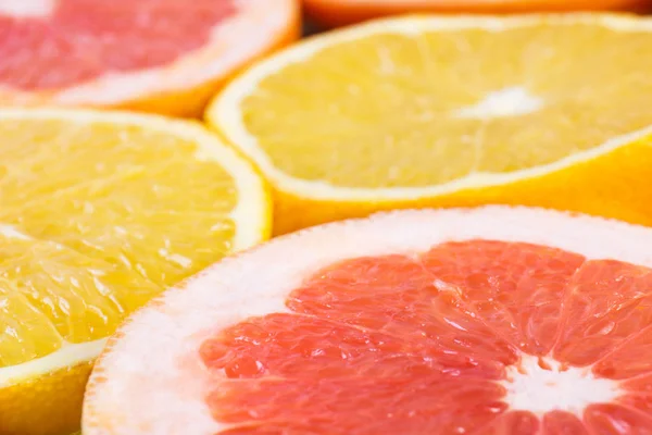 Buntes Zitrusmuster aus frischen Zitronen- und Grapefruitscheiben — Stockfoto