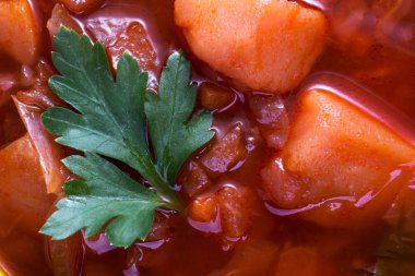 Maydanoz en iyi manzaralı Rus kırmızı pancar çorbası