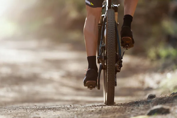 Mountain biking man riding on bike in summer mountains forest landscape