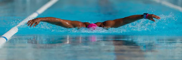 Спортсмен Занимающийся Плаванием Делает Удар Бабочкой Бассейне — стоковое фото