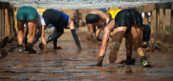 Runners Crawling Barbed Wire Test Race Extreme Obstacle Race — Stock Photo, Image