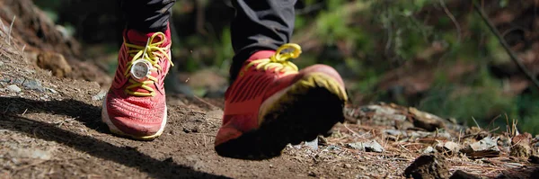 Trailrunning Training Freien Auf Felsigem Gelände Sportschuhe Auf Anspruchsvollem Waldweg — Stockfoto