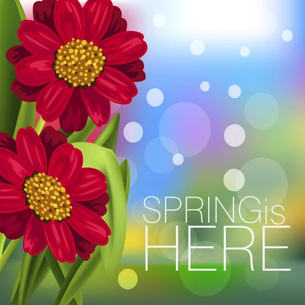 Hierba de primavera con flores — Vector de stock
