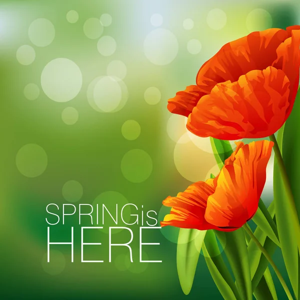 Grama primavera com flores — Vetor de Stock