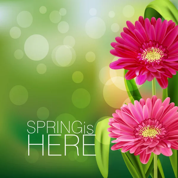 Grama primavera com flores — Vetor de Stock