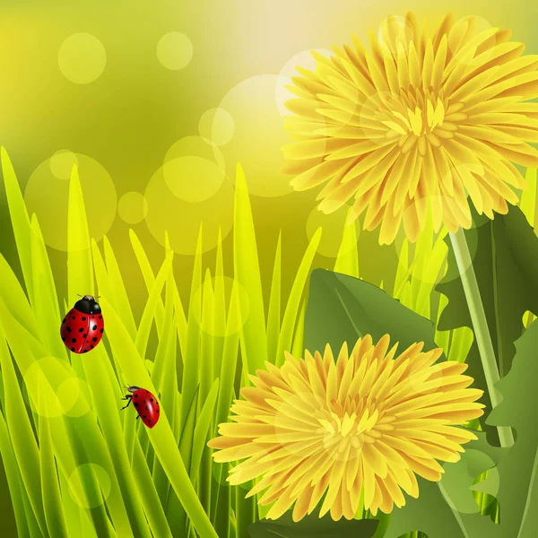 Lentebloemen met lieveheersbeestjes — Stockvector