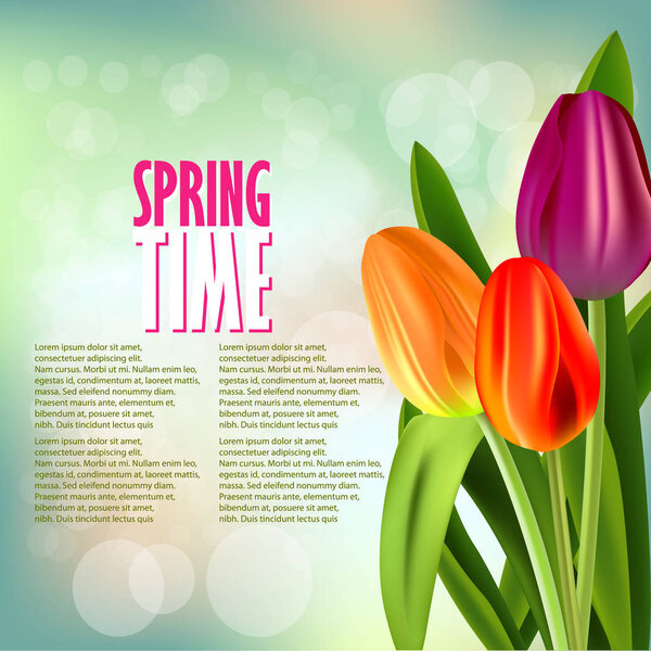 Fresh spring flowers 