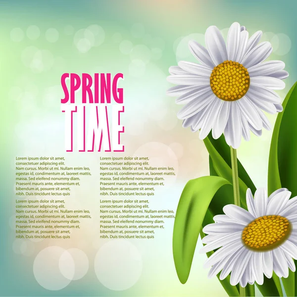 Flores frescas de primavera — Archivo Imágenes Vectoriales