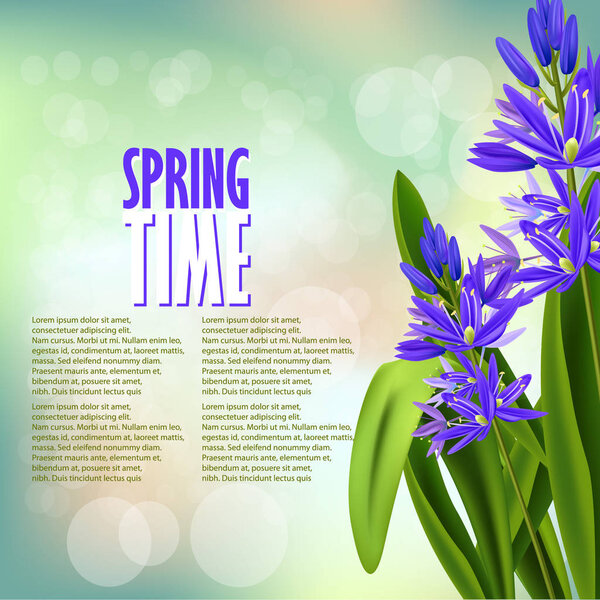 Fresh spring flowers 