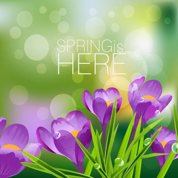 Hierba de primavera con flores — Archivo Imágenes Vectoriales