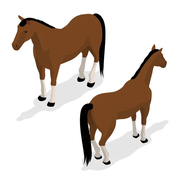 Caballo occidental con silla de montar y brida. Ilustración isométrica vectorial — Archivo Imágenes Vectoriales