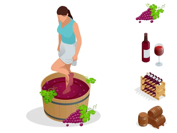 Isométrica colección de iconos de la producción de vino. Chica aplasta uvas para hacer vino. Festival del vino. Ilustración vectorial aislada sobre fondo blanco — Archivo Imágenes Vectoriales