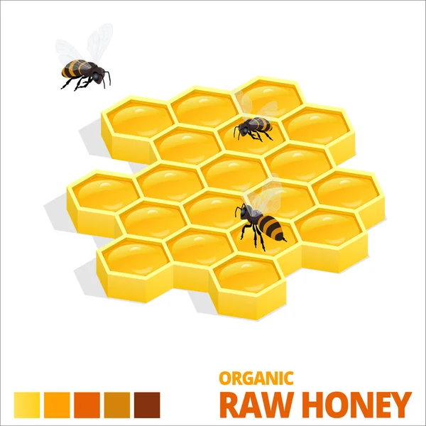 Isométrica doce favo de mel e abelhas. Mel cru. Ilustração vetorial isolada sobre branco — Vetor de Stock