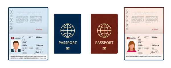 Vector Plantilla de pasaporte abierto en blanco. Pasaporte internacional con muestra de página de datos personales. Documento para viajes e inmigración. Ilustración vectorial aislada — Vector de stock