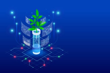 Yeni bitki yetiştirme ve tarım genetiği yöntemlerini araştıran özgün bir laboratuvar konsepti. Test tüplerinde büyüyen bitkiler..
