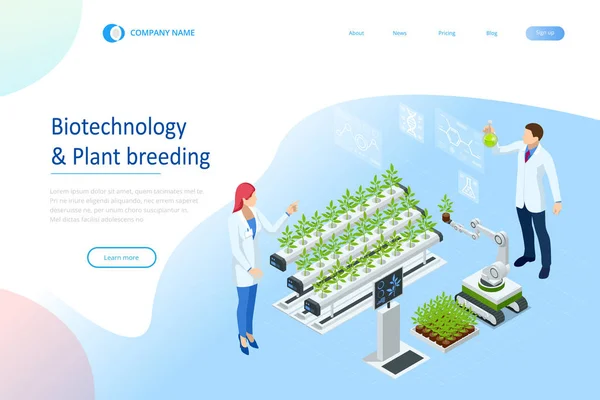 Concepto isométrico de laboratorio que explora nuevos métodos de fitomejoramiento y genética agrícola. Plantas que crecen en los tubos de ensayo . — Vector de stock