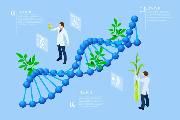 Izometrický koncept laboratorního zkoumání nových metod šlechtění rostlin a zemědělské genetiky. Rostliny rostoucí ve zkumavkách. — Stockový vektor