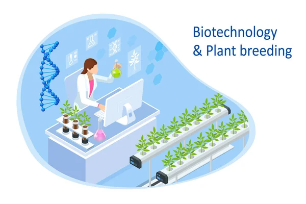 Conceito isométrico de laboratório explorando novos métodos de melhoramento vegetal e genética agrícola. Plantas que crescem nos tubos de ensaio . —  Vetores de Stock