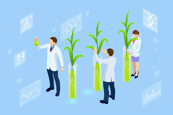 A növénytermesztés és a mezőgazdasági genetika új módszereit vizsgáló laboratórium izometrikus koncepciója. A kémcsövekben növekvő növények. — Stock Vector