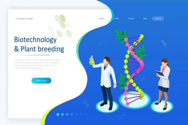 Conceito isométrico de laboratório explorando novos métodos de melhoramento vegetal e genética agrícola. Plantas que crescem nos tubos de ensaio . — Vetor de Stock