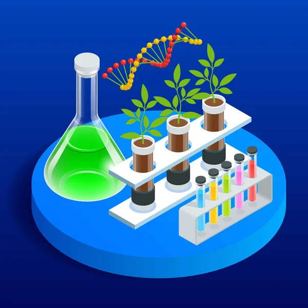实验室的等距概念探索植物育种和农业遗传学的新方法。 试管中生长的植物. — 图库矢量图片