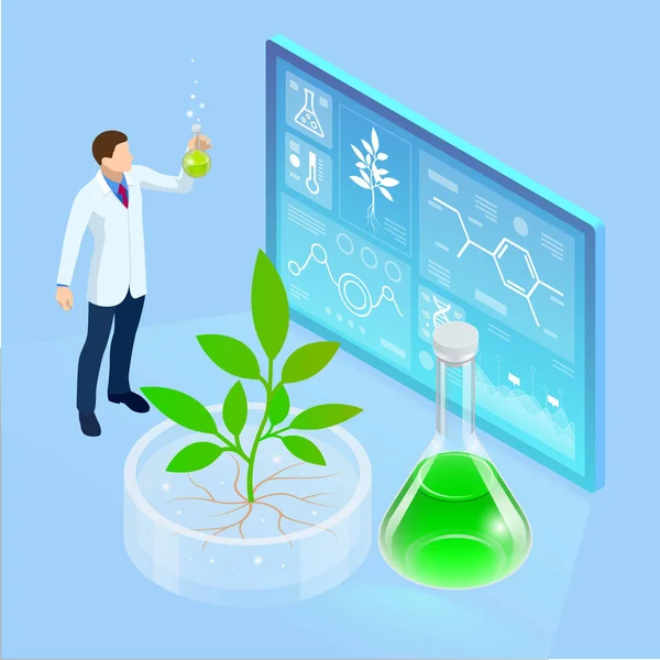 Isometrische concept van laboratorium verkennen van nieuwe methoden van plantenveredeling en landbouwgenetica. Planten groeien in de reageerbuizen. Biologisch voedsel, landbouw en hydrocultuur — Stockvector