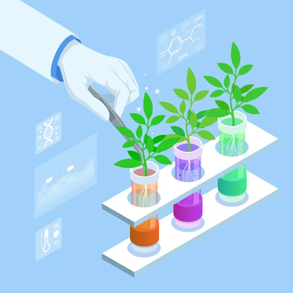 Isometrische concept van laboratorium verkennen van nieuwe methoden van plantenveredeling en landbouwgenetica. Planten groeien in de reageerbuizen. Biologisch voedsel, landbouw en hydrocultuur — Stockvector