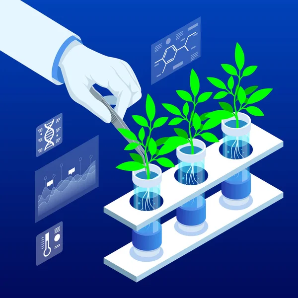 Isometric concept of laboratory exploring new methods of plant breeding and agricultural genetics. Plants growing in the test tubes. Organic food ,agriculture and hydroponic — Stock vektor