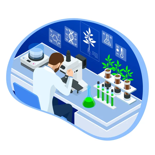 Isometrische concept van laboratorium verkennen van nieuwe methoden van plantenveredeling en landbouwgenetica. Planten groeien in de reageerbuizen. Biologisch voedsel, landbouw en hydrocultuur — Stockvector