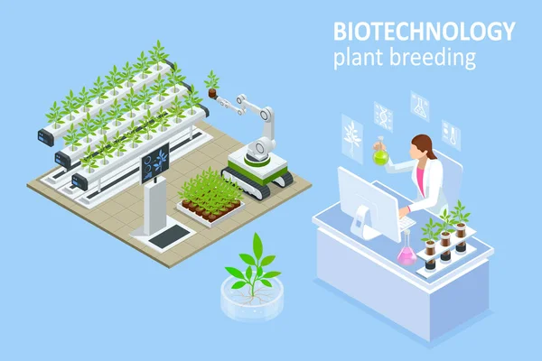 Concepto isométrico de laboratorio que explora nuevos métodos de fitomejoramiento y genética agrícola. Sistema hidropónico vegetal, agricultura en invernadero ecológico para alimentos saludables — Archivo Imágenes Vectoriales