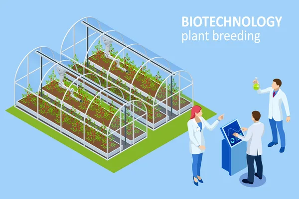 Concetto isometrico di laboratorio che esplora nuovi metodi di riproduzione vegetale e genetica agricola. Sistema idroponico vegetale, agricoltura in serra biologica per alimenti salutistici — Vettoriale Stock